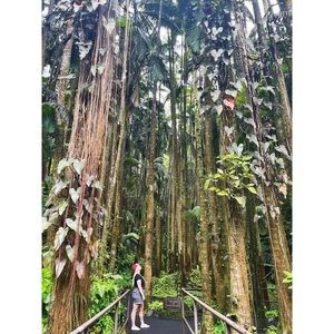 Meet your Posher, Deanne